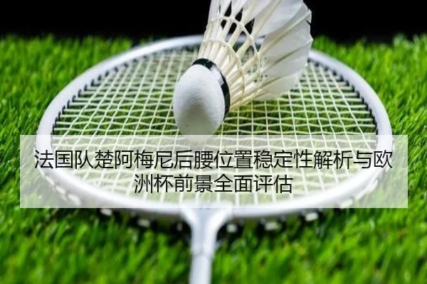 法国队楚阿梅尼后腰位置稳定性解析与欧洲杯前景全面评估