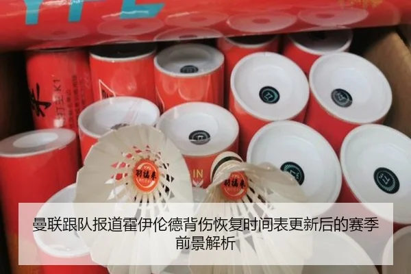 曼联跟队报道霍伊伦德背伤恢复时间表更新后的赛季前景解析